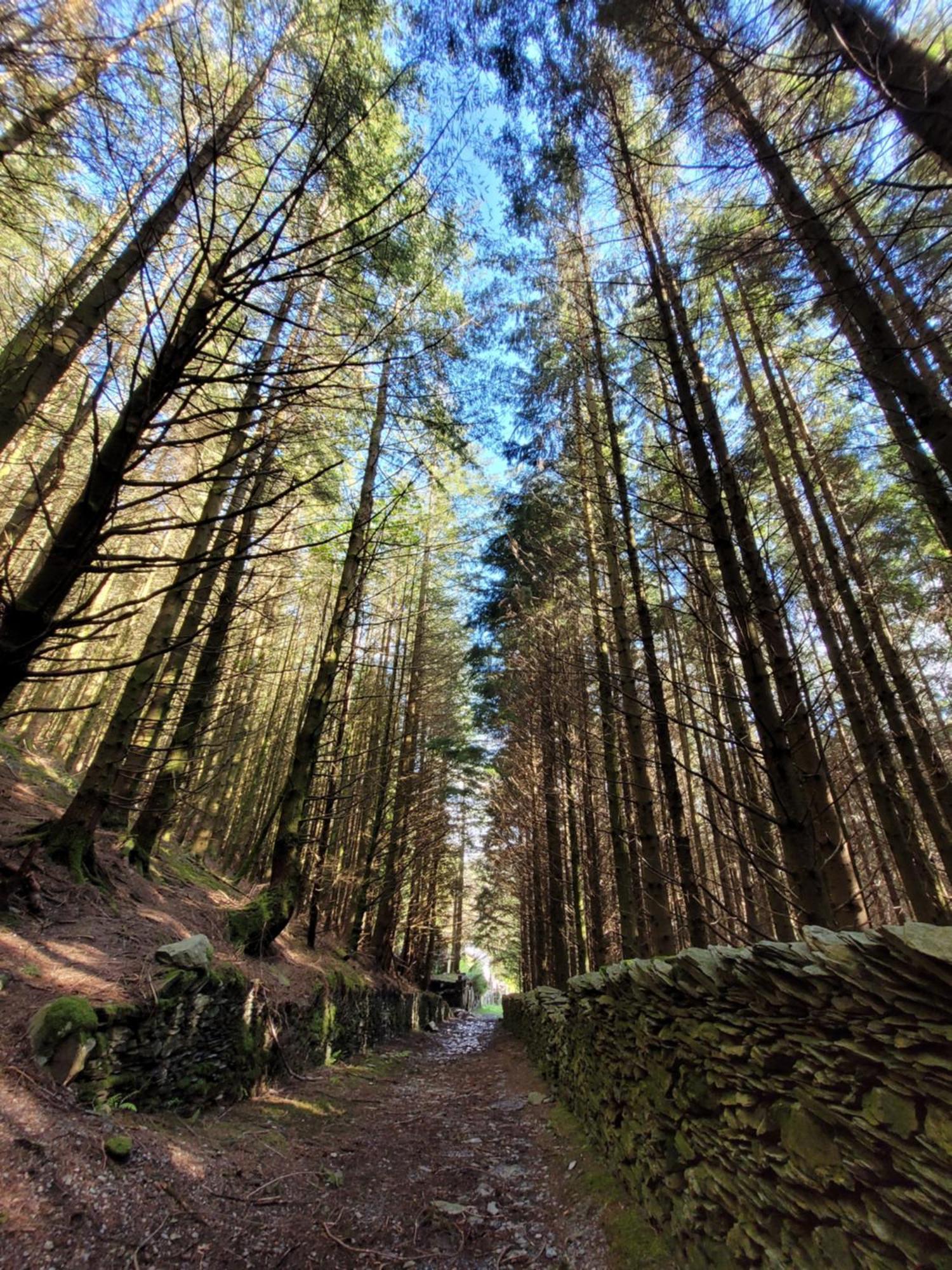 The Granary Corris On The Edge Of The Dyfi Forest Esterno foto