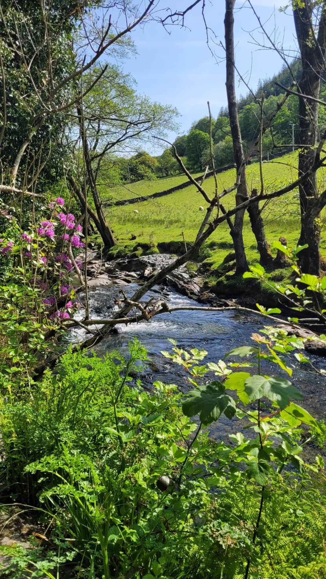 The Granary Corris On The Edge Of The Dyfi Forest Esterno foto