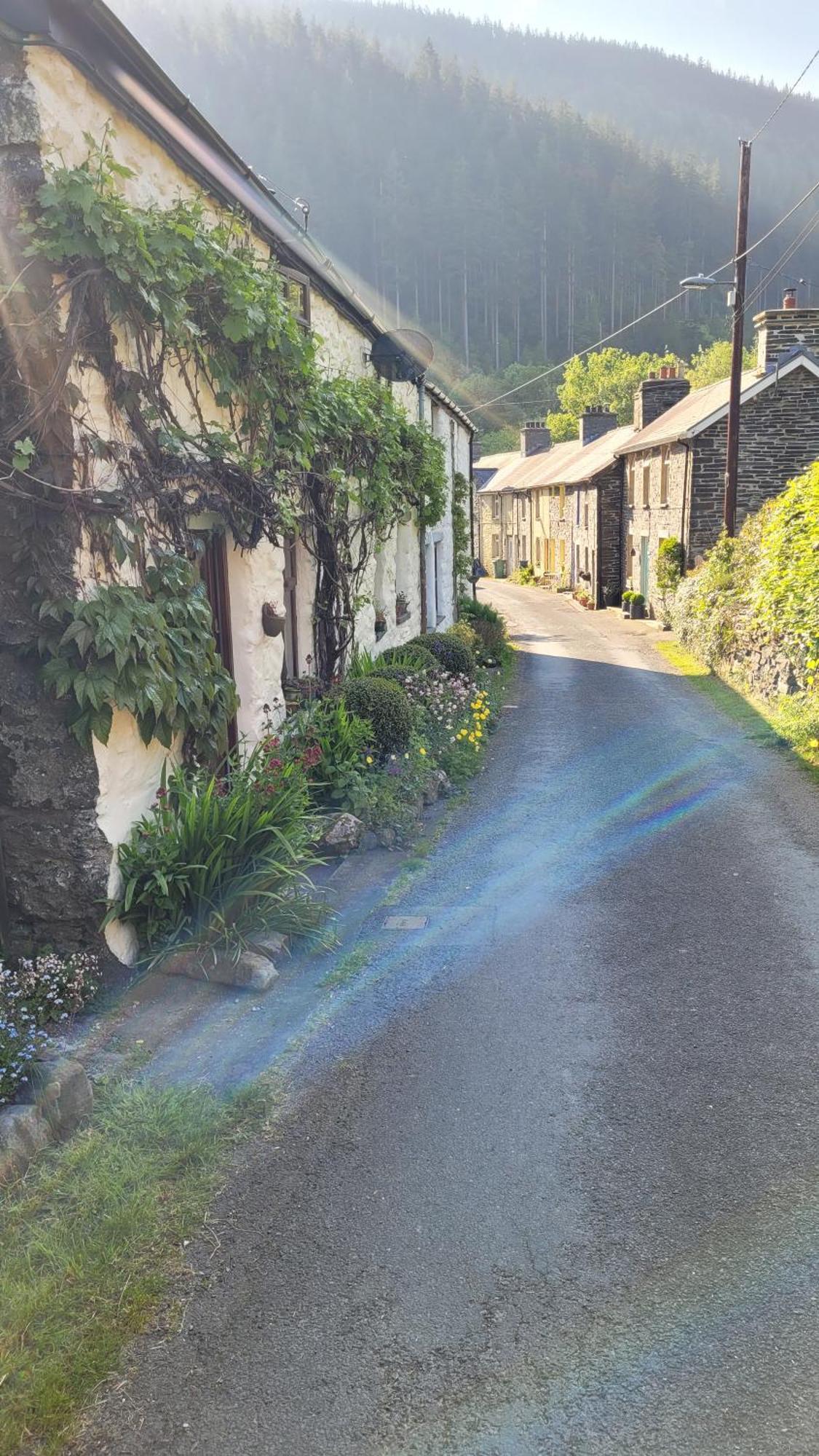 The Granary Corris On The Edge Of The Dyfi Forest Esterno foto